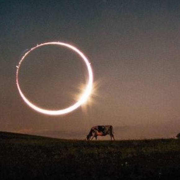 Meet your Posher, Ron - Picture 1 of 1